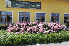 364_Ansfelden_2023