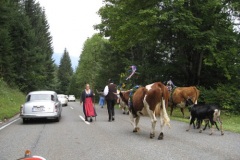 gastein09c