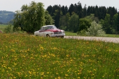 Fruhjahr2011-1