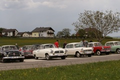 Fruhjahr2011-4