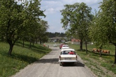 Fruhjahr2011-6