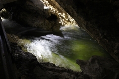 Spring2012Hohle2