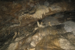 Spring2012Hohle3