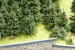 033_Herbstausfahrt_2023