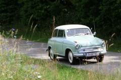 Baumabfahrt5