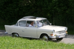 Baumabfahrt7