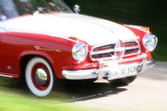 BaumabfahrtBug