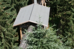 Baumpfad1